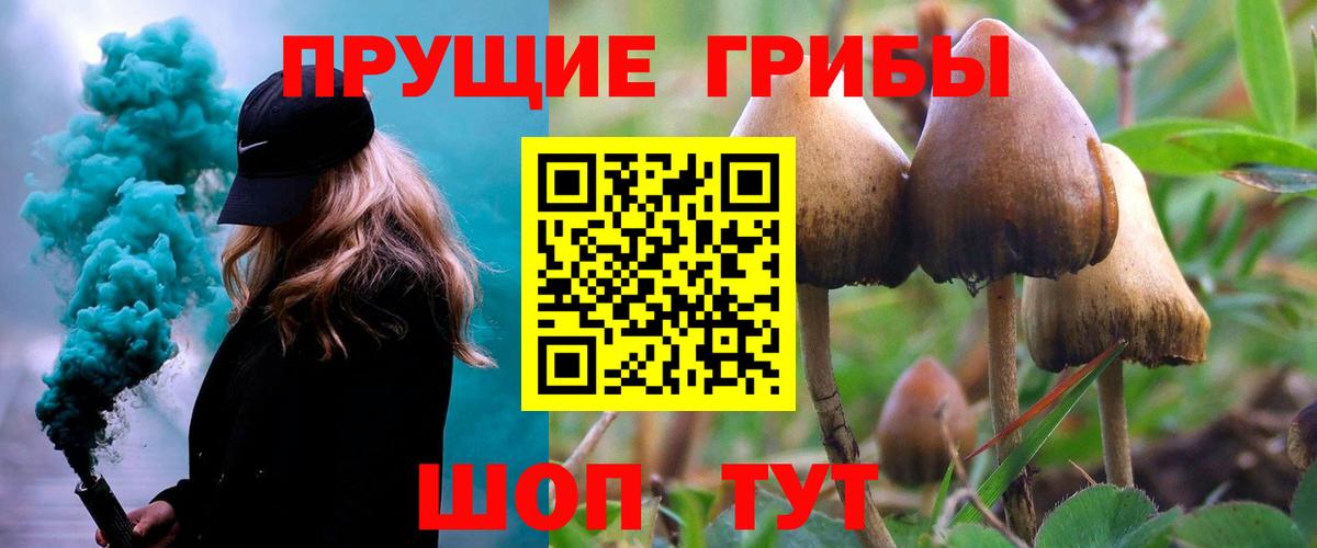 Галлюциногенные грибы прущие грибы  где купить   Курчатов  Вход с VPN  Галлюциногенные грибы GOLDEN TEACHER 